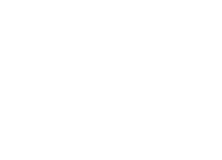 light logo