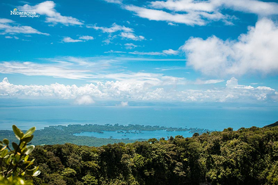 View of the Landscape