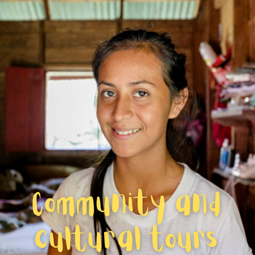 Community and cultural tours