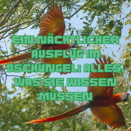 nature birds Nicaragua