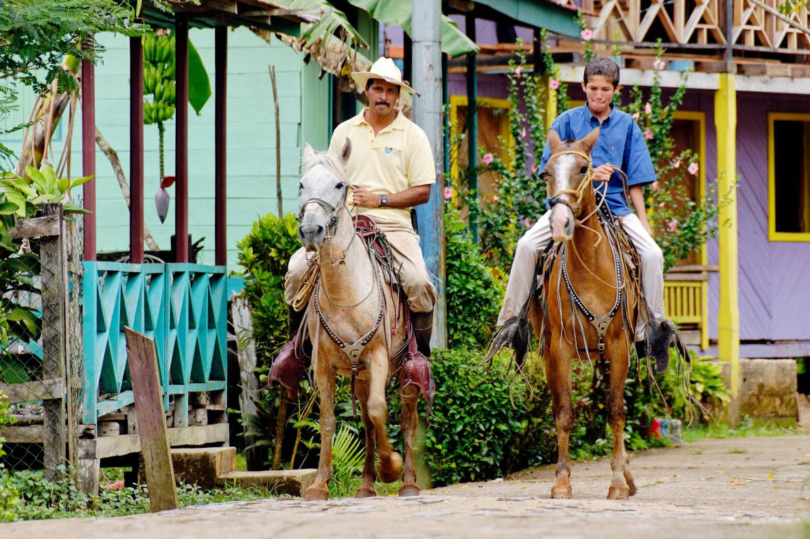 Horses in the town