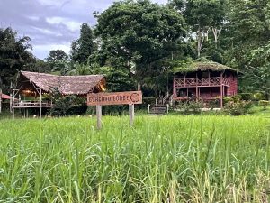 Guacimo Lodge Rancho grande