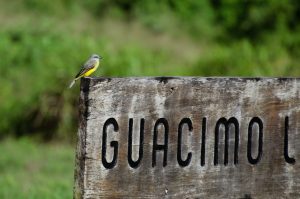 Guacimo Lodge entrance