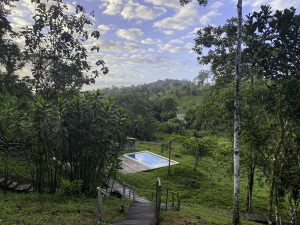 Guacimo Lodge - Outdoor pool in the nature