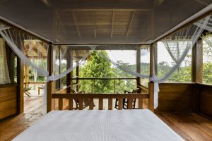 Guacimo Lodge - Sup Bung forest